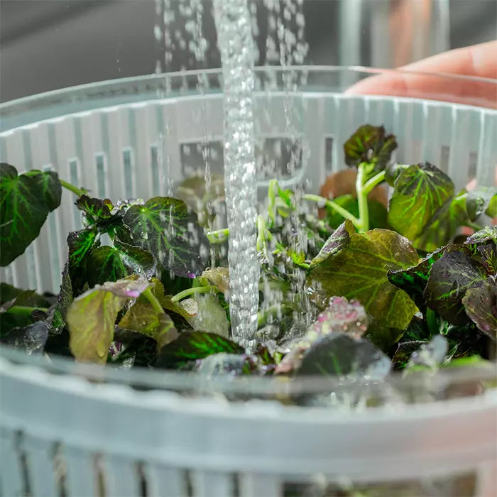 Secador de Saladas com Organizador 5,5L - Linha Clear Fresh Ou